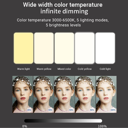 Video Conference Call Selfie Light (12 Months Warranty)