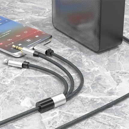 3- AUX CABLE 1.2m
