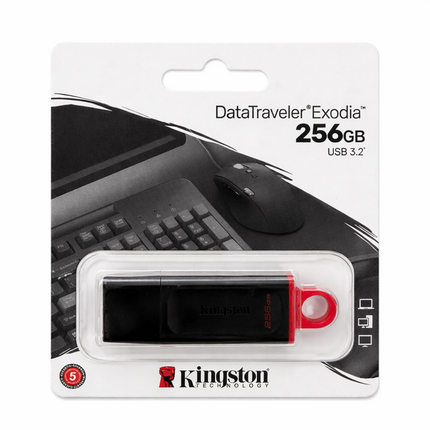 Kingston Data Traveller USB 256GB
