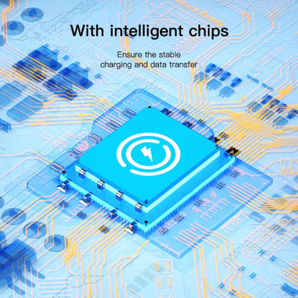 8-PIN to USB-C Connector (12 Months Warranty)