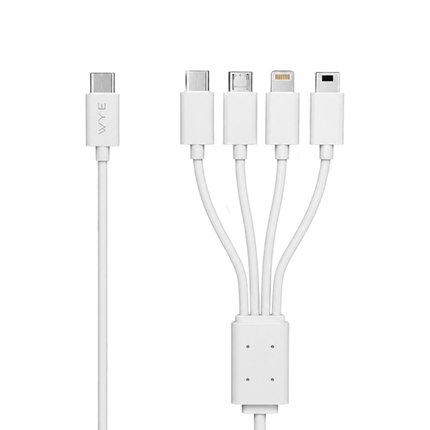 in-1 Data & Charging Cable 0.35m