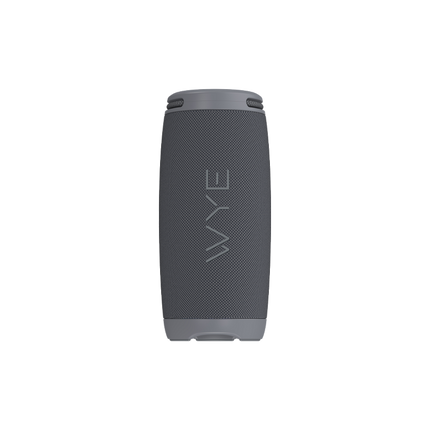 20W ProSound Wireless Speaker