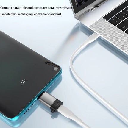USB-A to USB-C OTG Adapter (12 Months Warranty)
