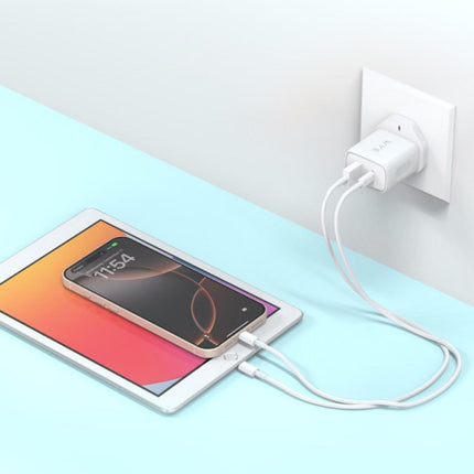 20W Dual Ports Power Adaptor