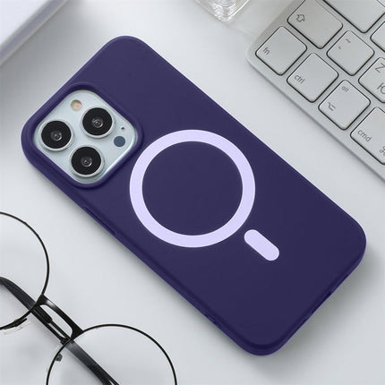 Soft Silicone MagSafe Case for iPhone 11/12/13/14/15 - Row