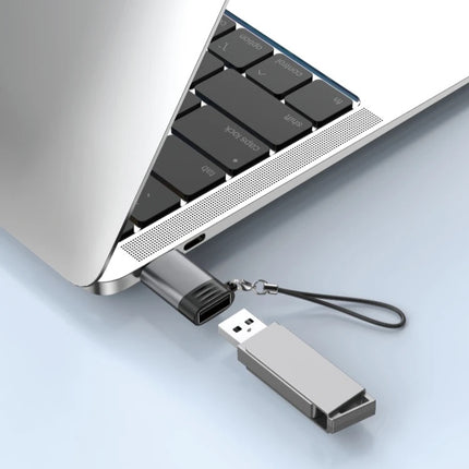 USB-A to USB-C OTG Adapter (12 Months Warranty)