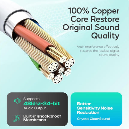8-Pin Stereo Wired Earphones for iPhone (12 Months Warranty)