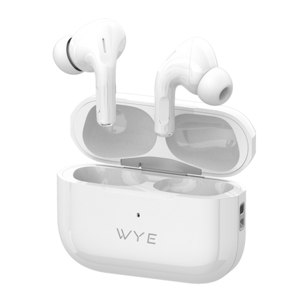 ANC Earbuds Noise Cancelling
