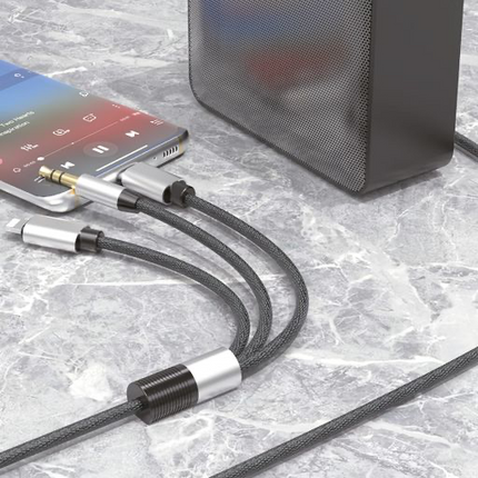 3-in-1 Aux Cable (12 Months Warranty)