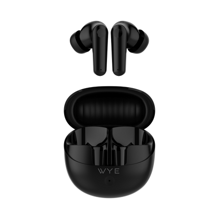 ANC Earbuds