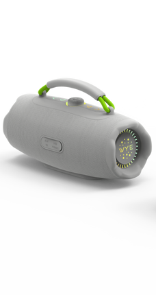 40W High Fidelity Wireless Speaker