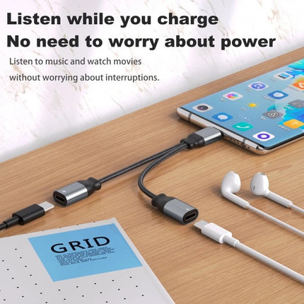 USB-C to Dual Female USB-C Ports Splitter (12 Months Warranty)