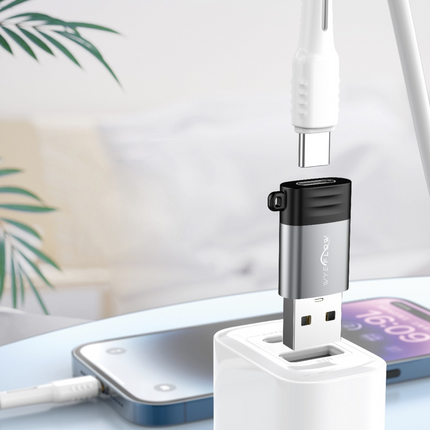 USB-C to USB-A Mini Adapter (12 Months Warranty)