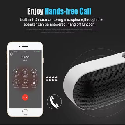 Portable Wireless Speaker (12 Months Warranty)