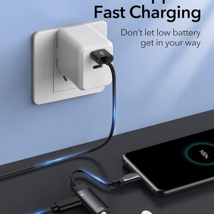 USB-C to USB-C & 3.5mm Adapter (12 Months Warranty)
