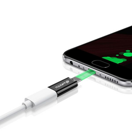 8-PIN to USB-C Connector (12 Months Warranty)