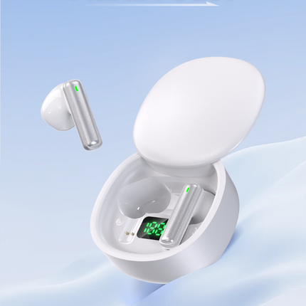 ProSound Wireless Earbuds with LED Display