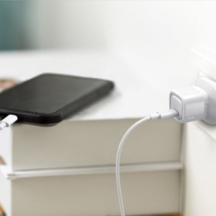 25W Single USB-C Power Adapter (12-Months Warranty)