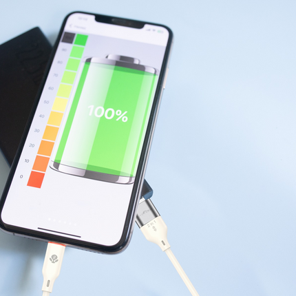 60W 4-IN-1 Charging Cable 1.2m (12 Months Warranty)