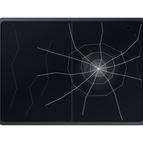 Inner Screen Replacement