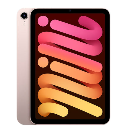 iPad mini (6th generation) – Pink